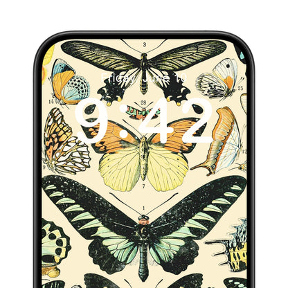 Butterflies and Moths Phone Wallpaper Close Up