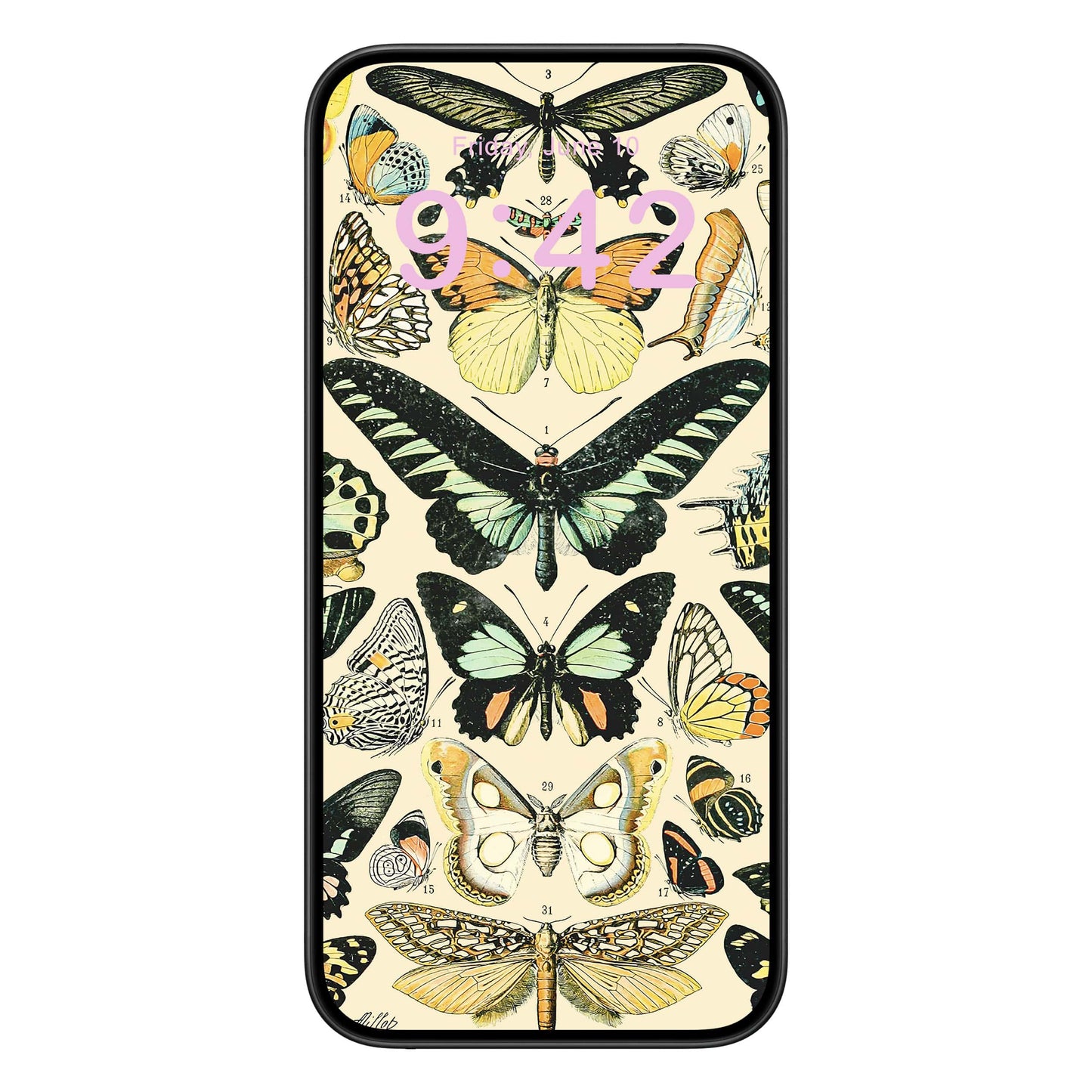 Butterflies and Moths Phone Wallpaper Pink Text