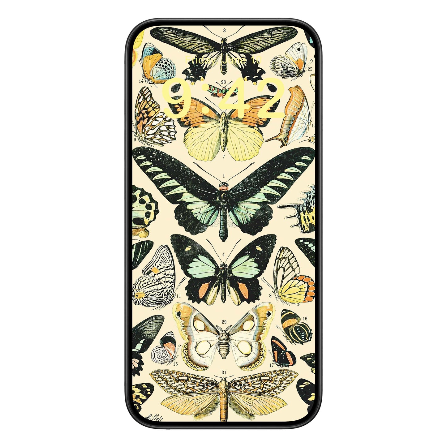 Butterflies and Moths Phone Wallpaper Yellow Text