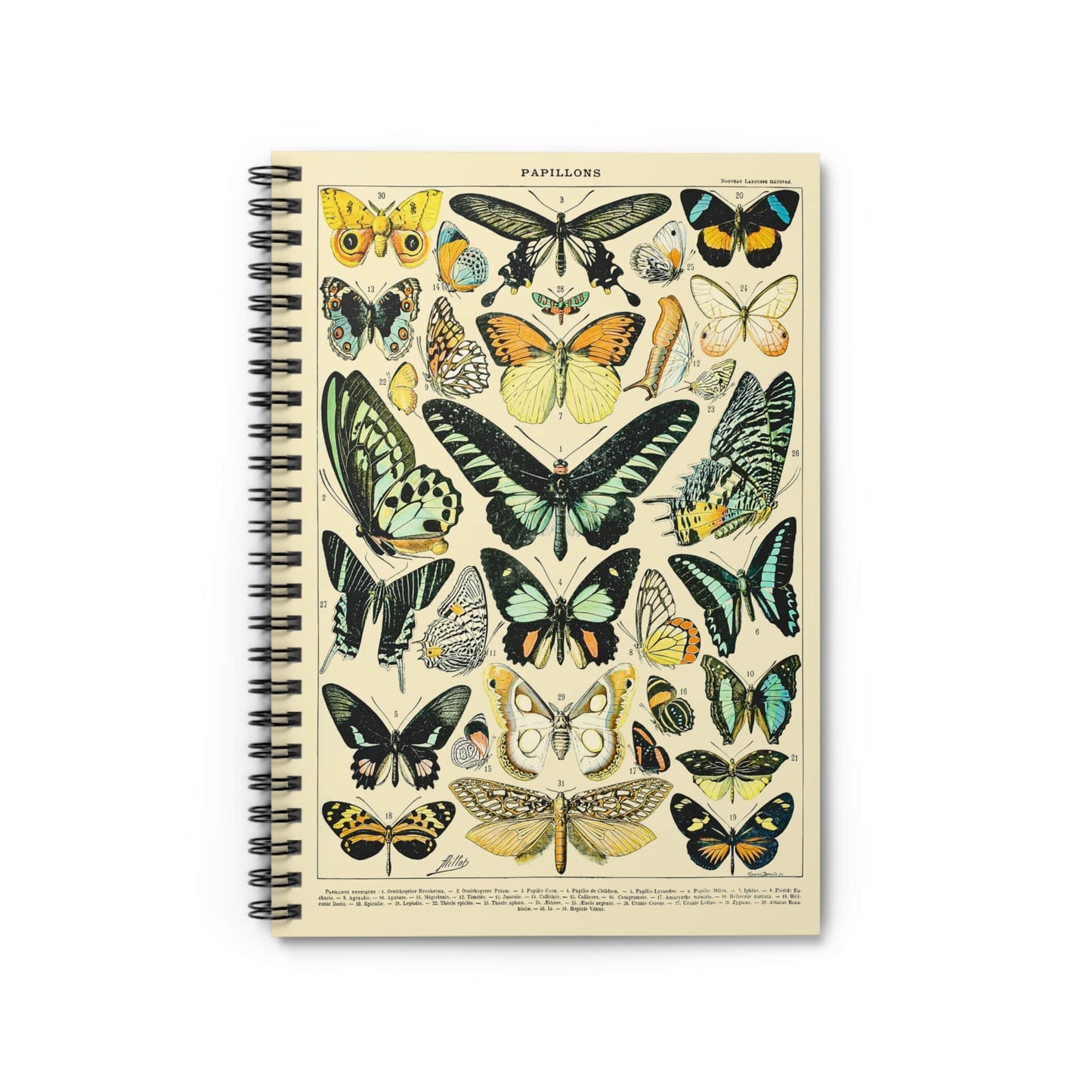 Butterflies and Moths Notebook with cottagecore cover, ideal for journals and planners, featuring charming cottagecore designs.
