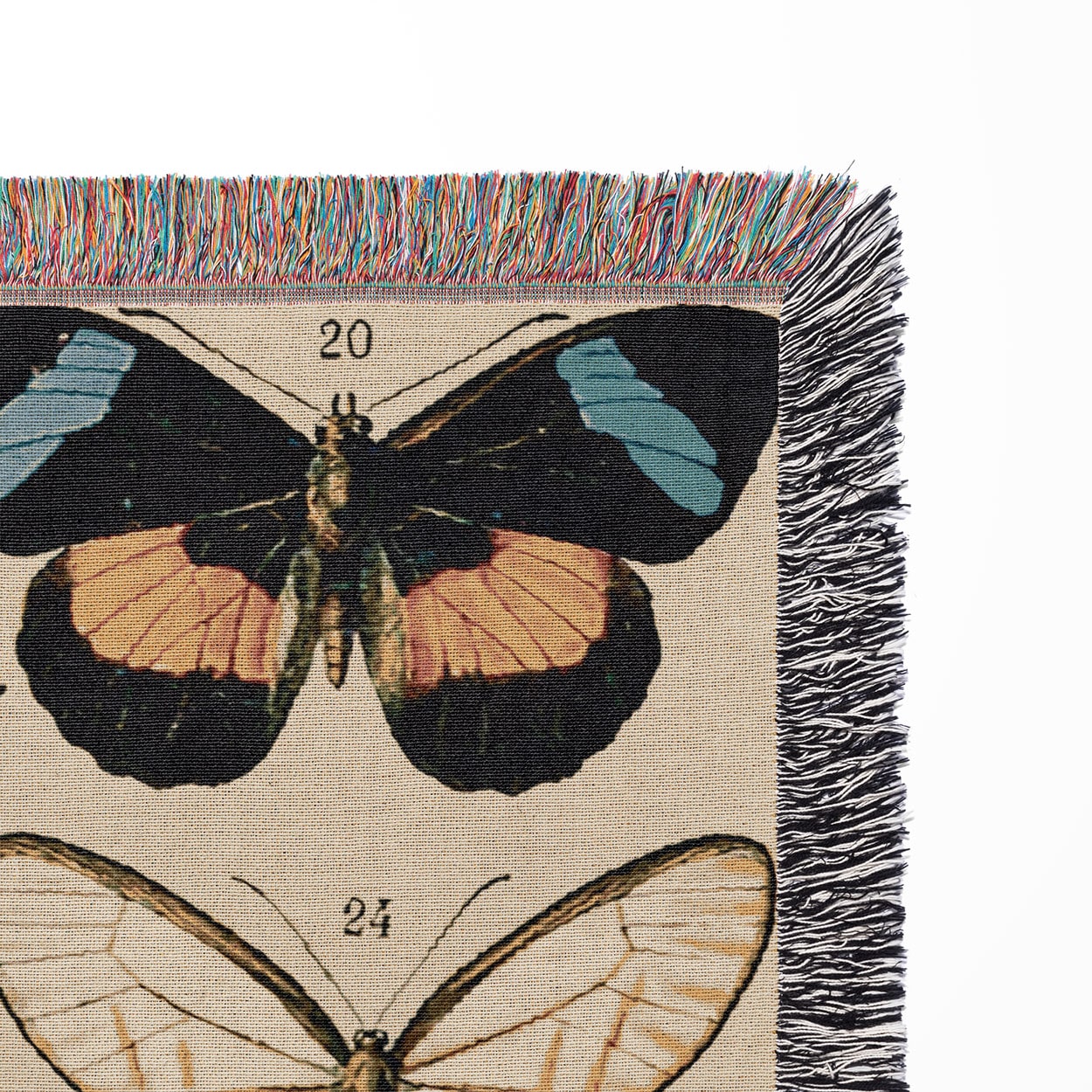 Butterflies and Moths Woven Blanket Close Up