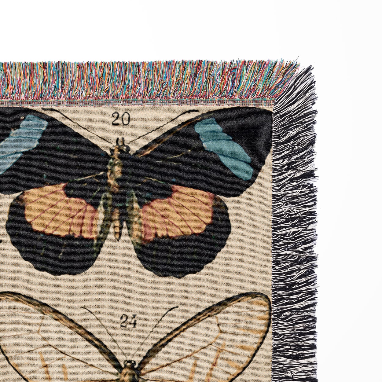 Butterflies and Moths Woven Blanket Woven Blanket Close Up