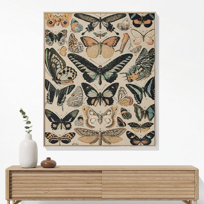 Butterflies and Moths Woven Blanket Woven Blanket Hanging on a Wall as Framed Wall Art