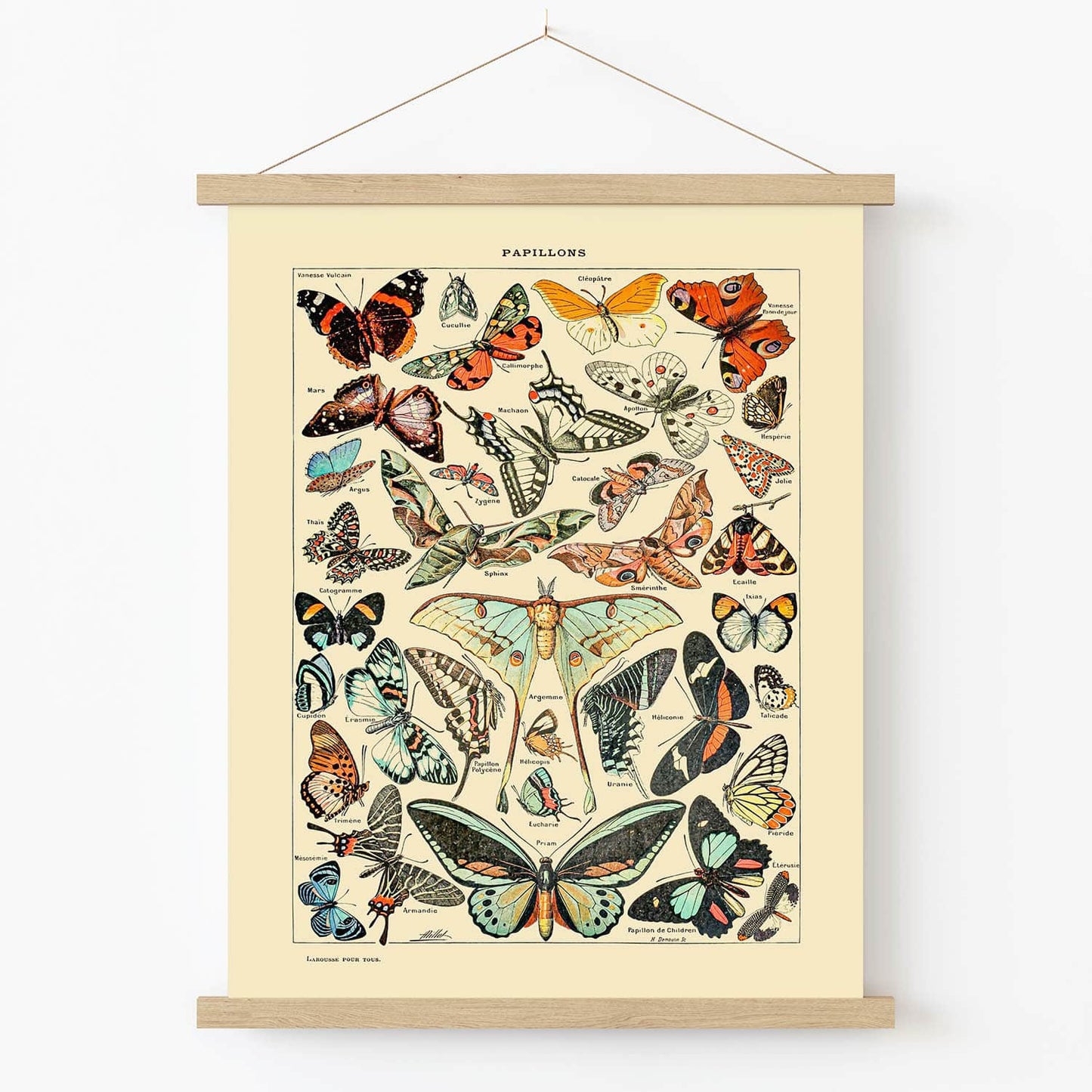 Butterfly Art Print in Wood Hanger Frame on Wall