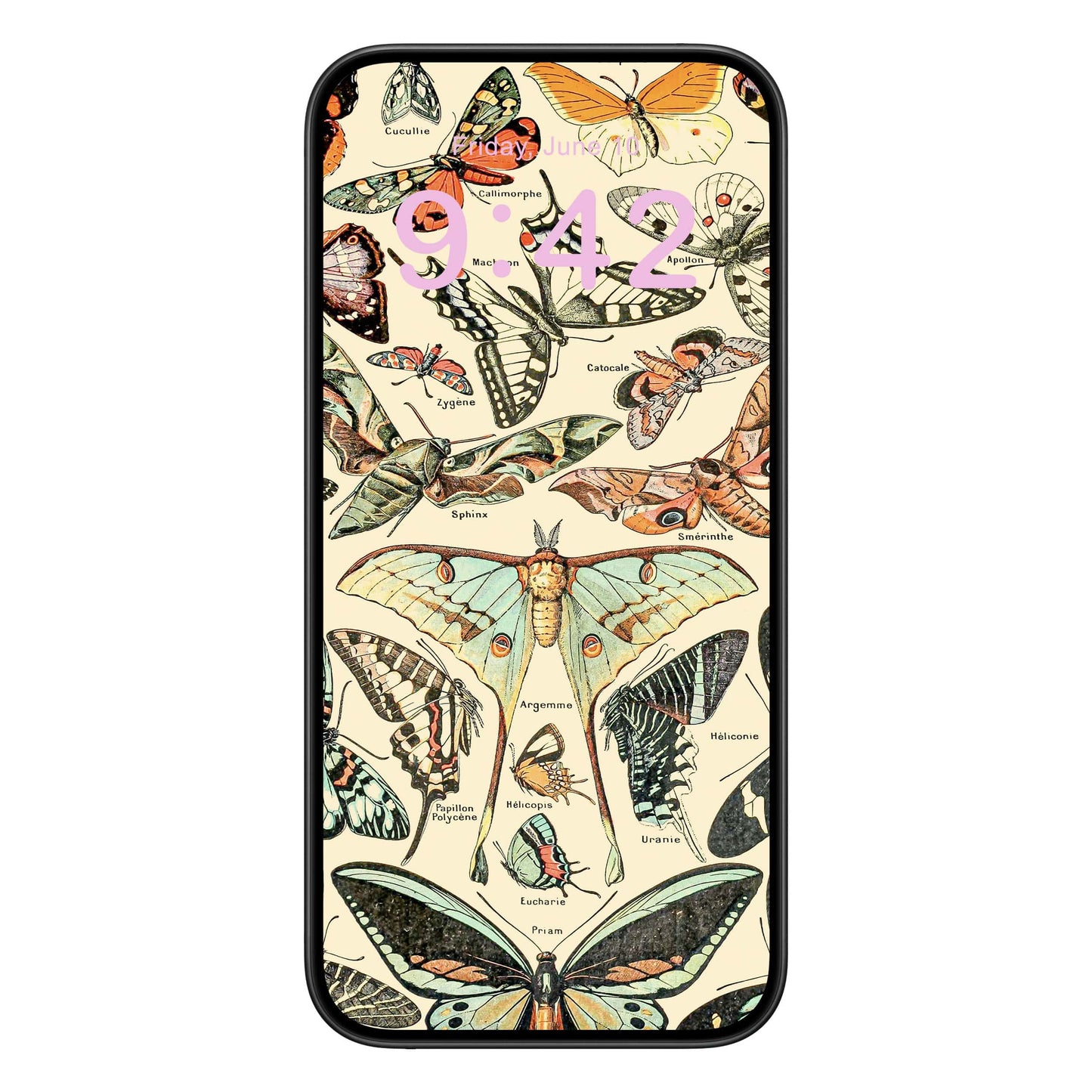 Butterfly Phone Wallpaper Pink Text