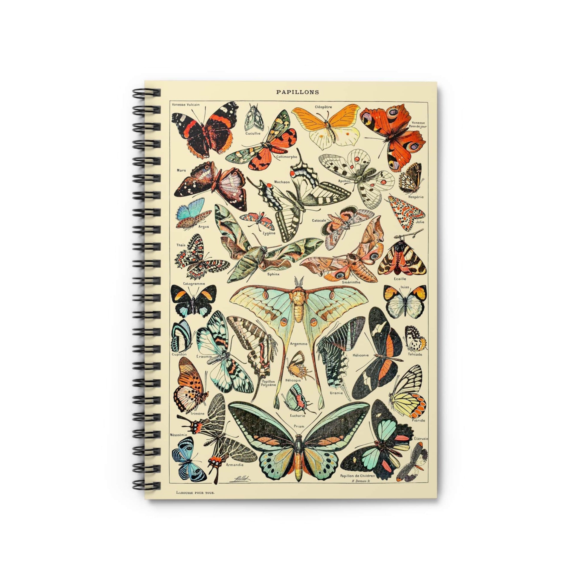 Butterfly Notebook with botanical cover, perfect for journaling and planning, featuring vibrant butterfly designs for nature lovers.