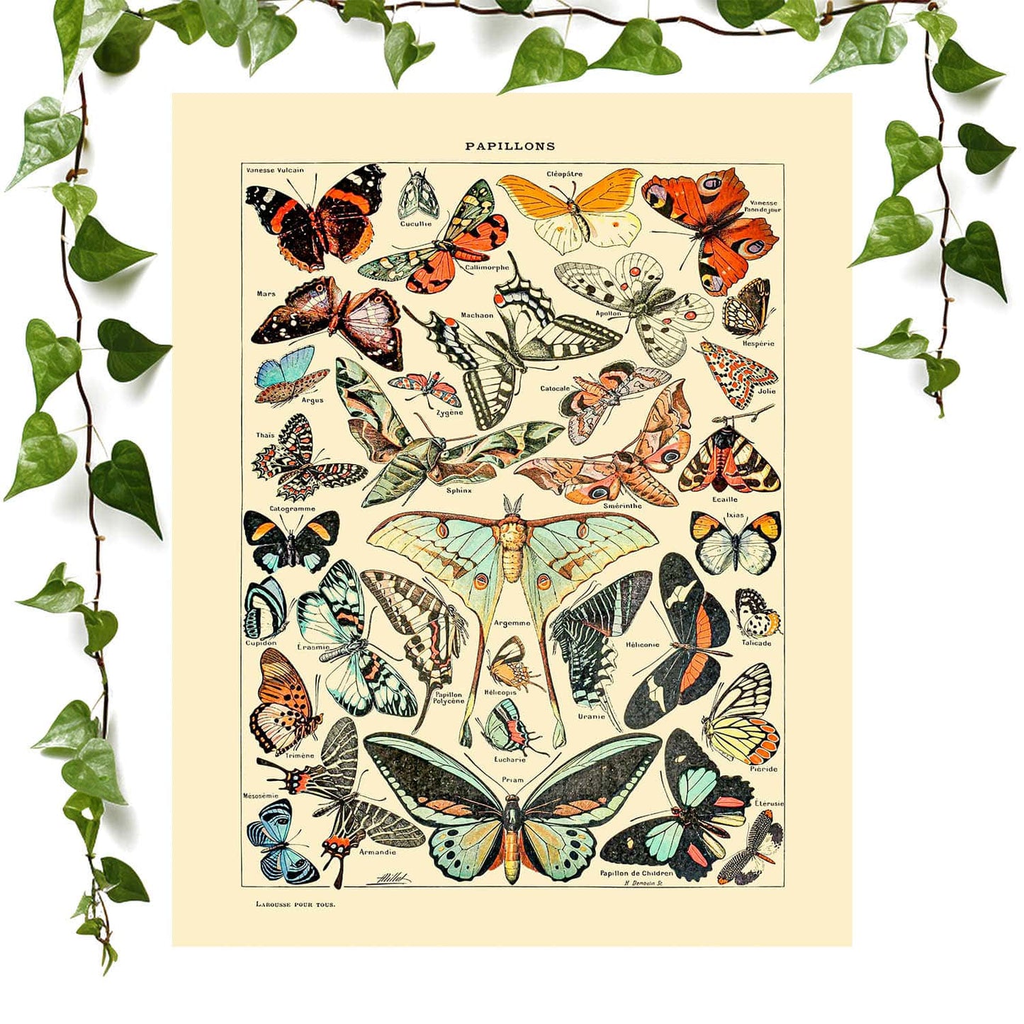 Vintage butterfly art print with botanical room decor, ideal for vintage wall art.