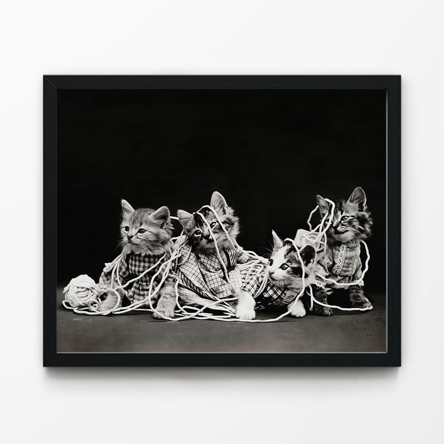 Cats Tangled in Yarn Art Print in Black Picture Frame