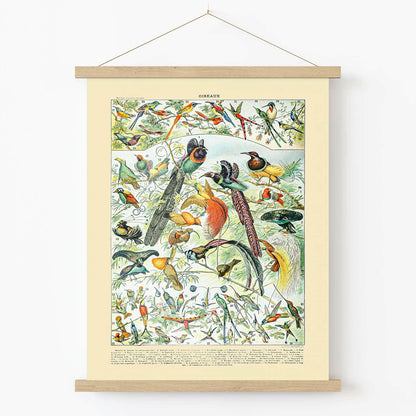 Exotic Tropical Birds Art Print in Wood Hanger Frame on Wall
