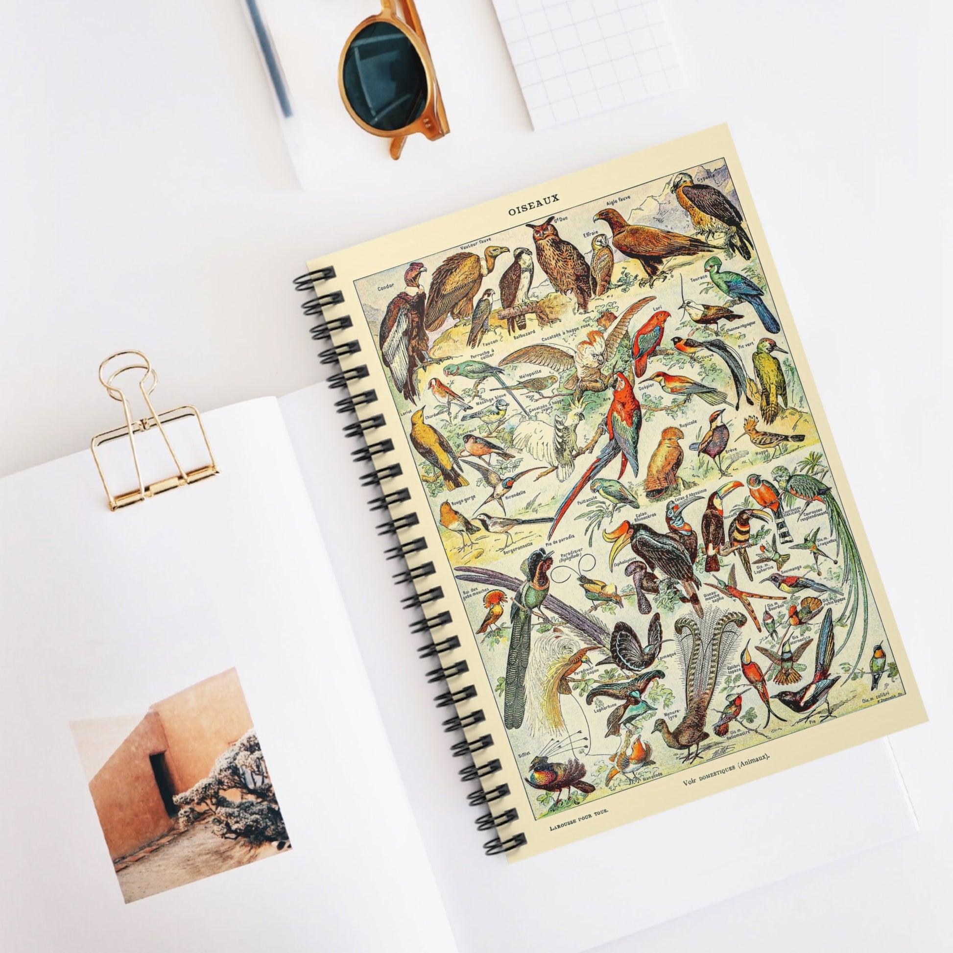 Collection of Birds Spiral Notebook Displayed on Desk