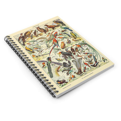 Collection of Birds Spiral Notebook Laying Flat on White Surface