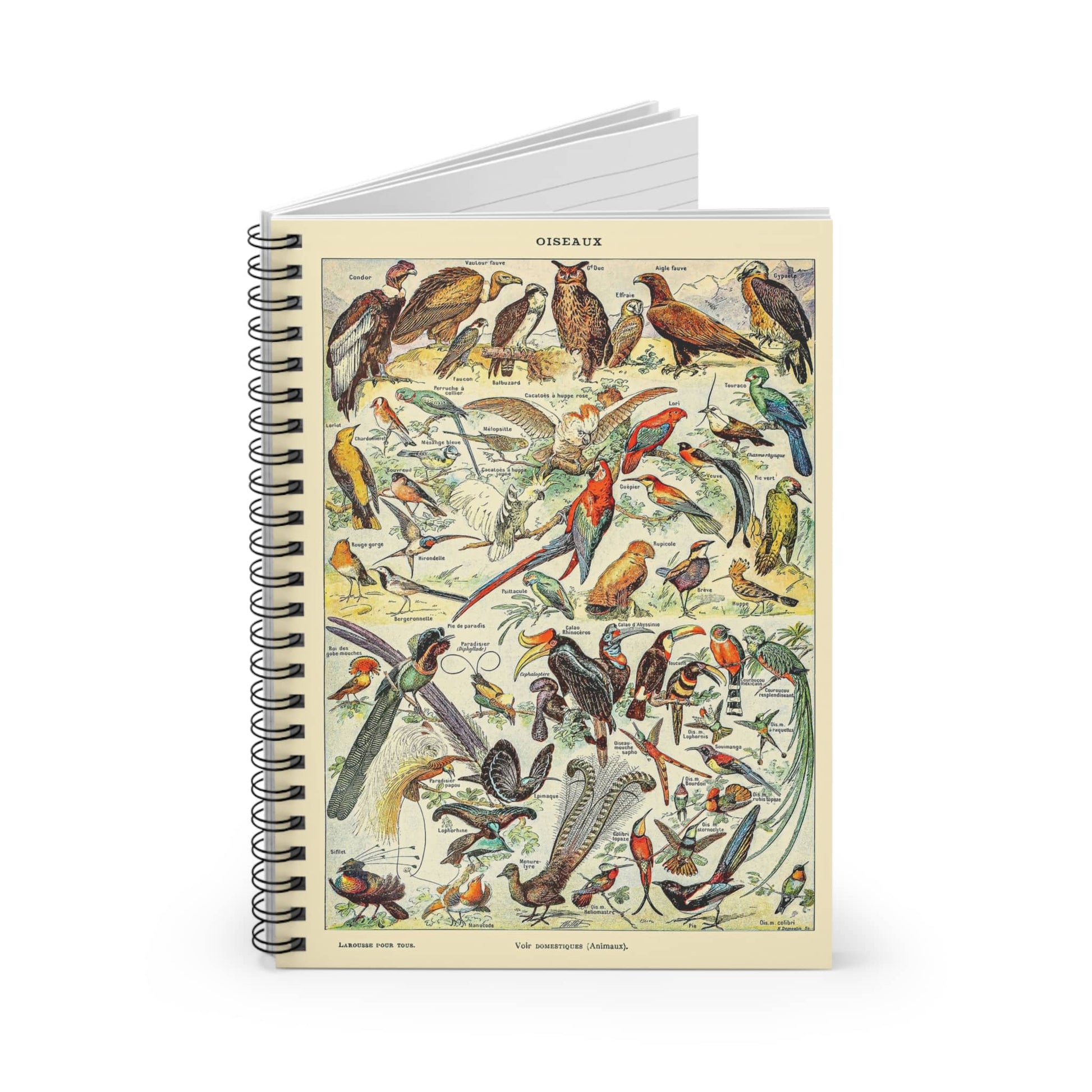 Collection of Birds Spiral Notebook Standing up on White Desk