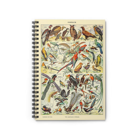 Collection of Birds Notebook with Wild Birds Diagram cover, ideal for journaling and planning, featuring wild birds diagrams.