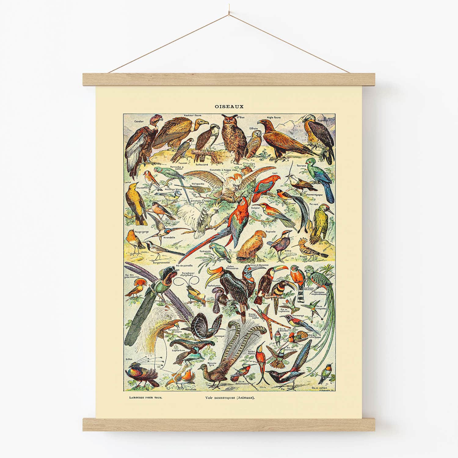 Wild Birds Art Print in Wood Hanger Frame on Wall