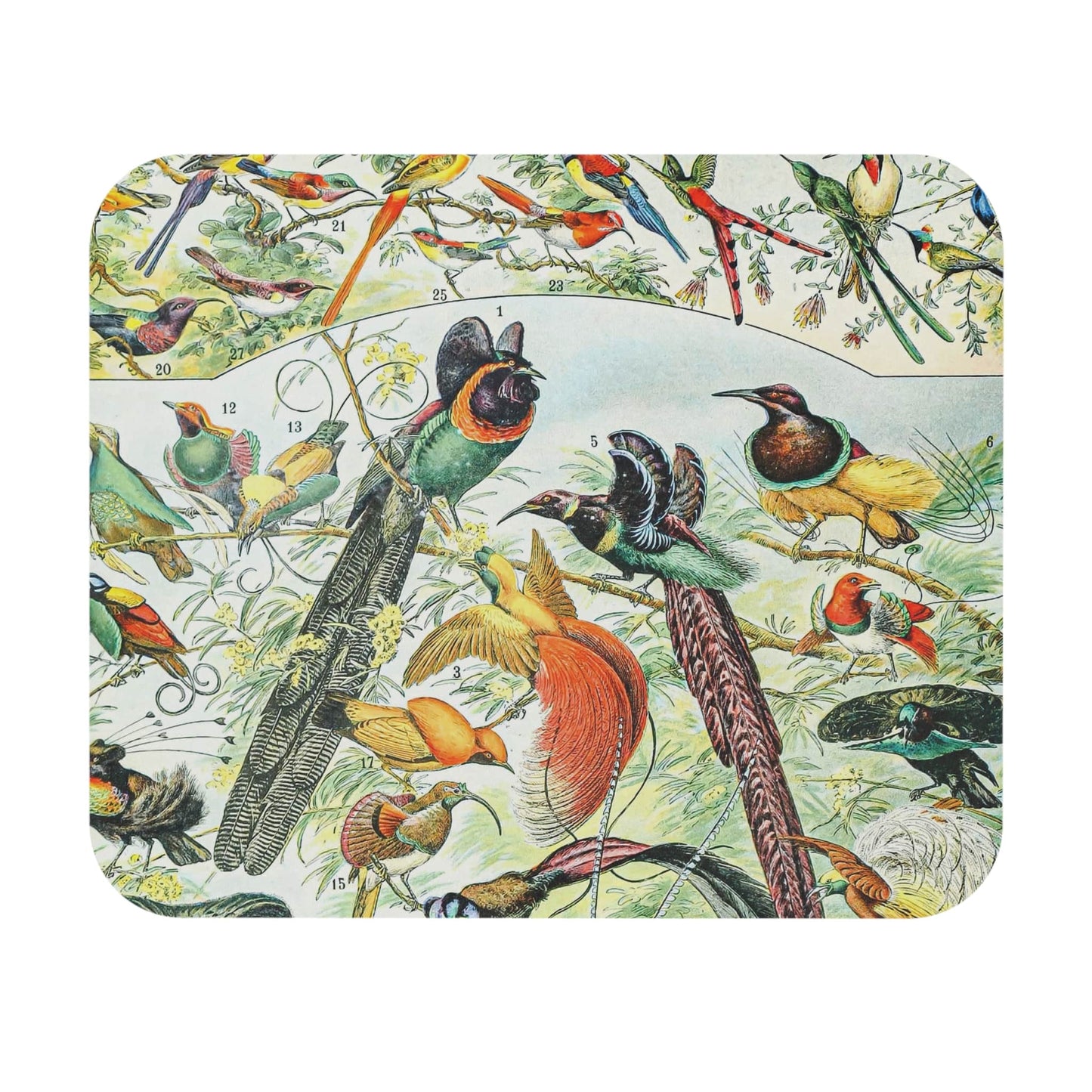Collection of Birds Mouse Pad showcasing a tropical bird chart design, adding vibrancy to desk and office decor.