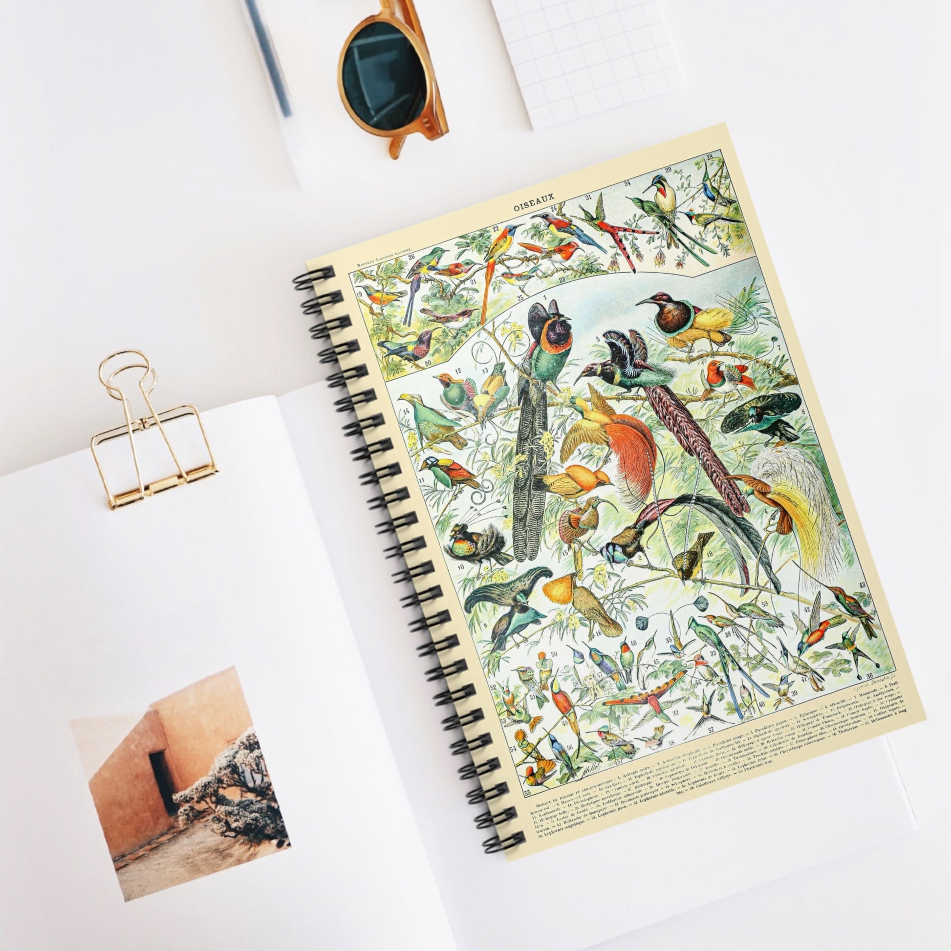 Collection of Birds Spiral Notebook Displayed on Desk
