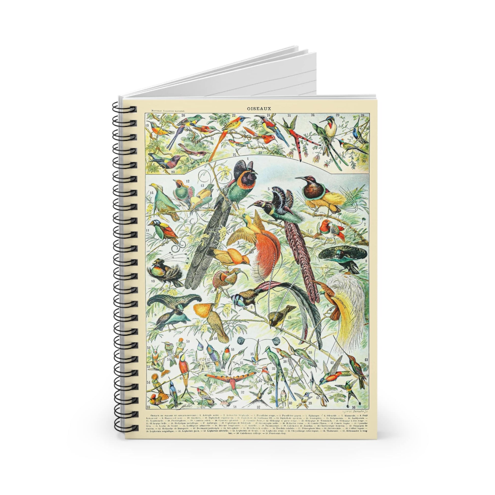 Collection of Birds Spiral Notebook Standing up on White Desk