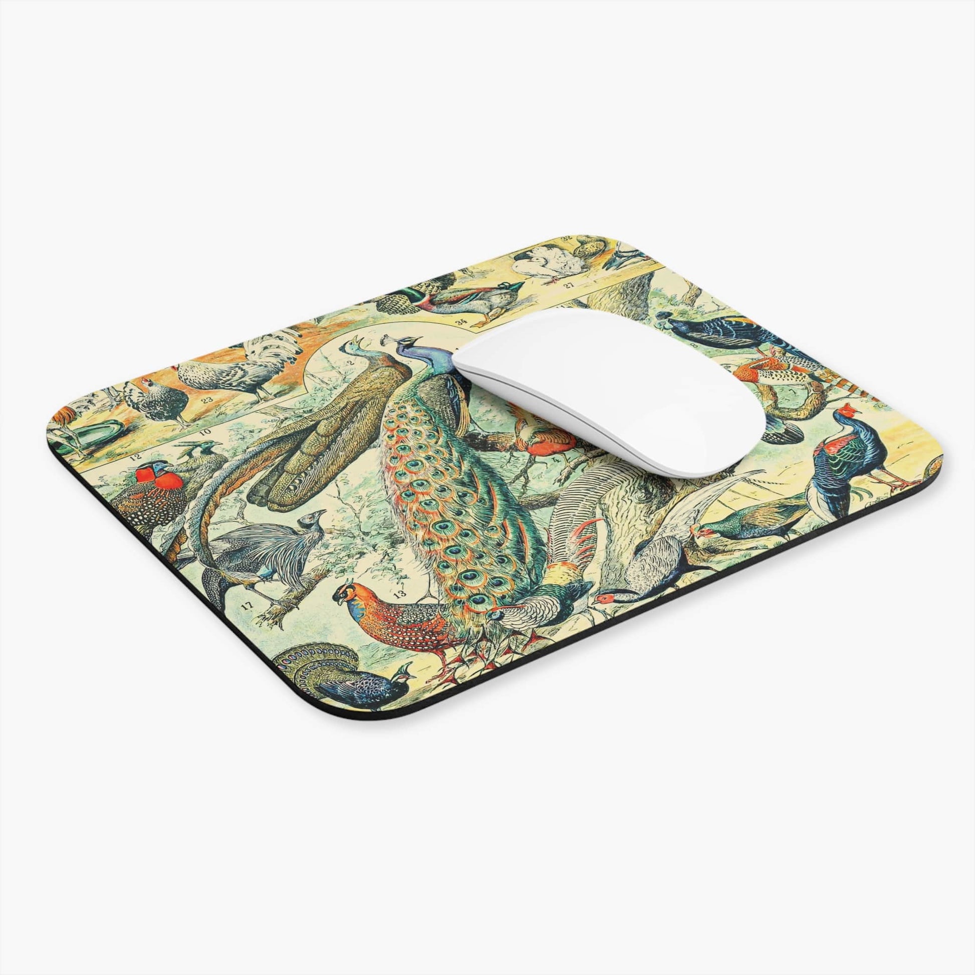 Collection of Birds Computer Desk Mouse Pad With White Mouse