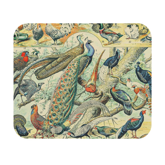 Collection of Birds Mouse Pad featuring a wild birds chart design, ideal for desk and office decor.