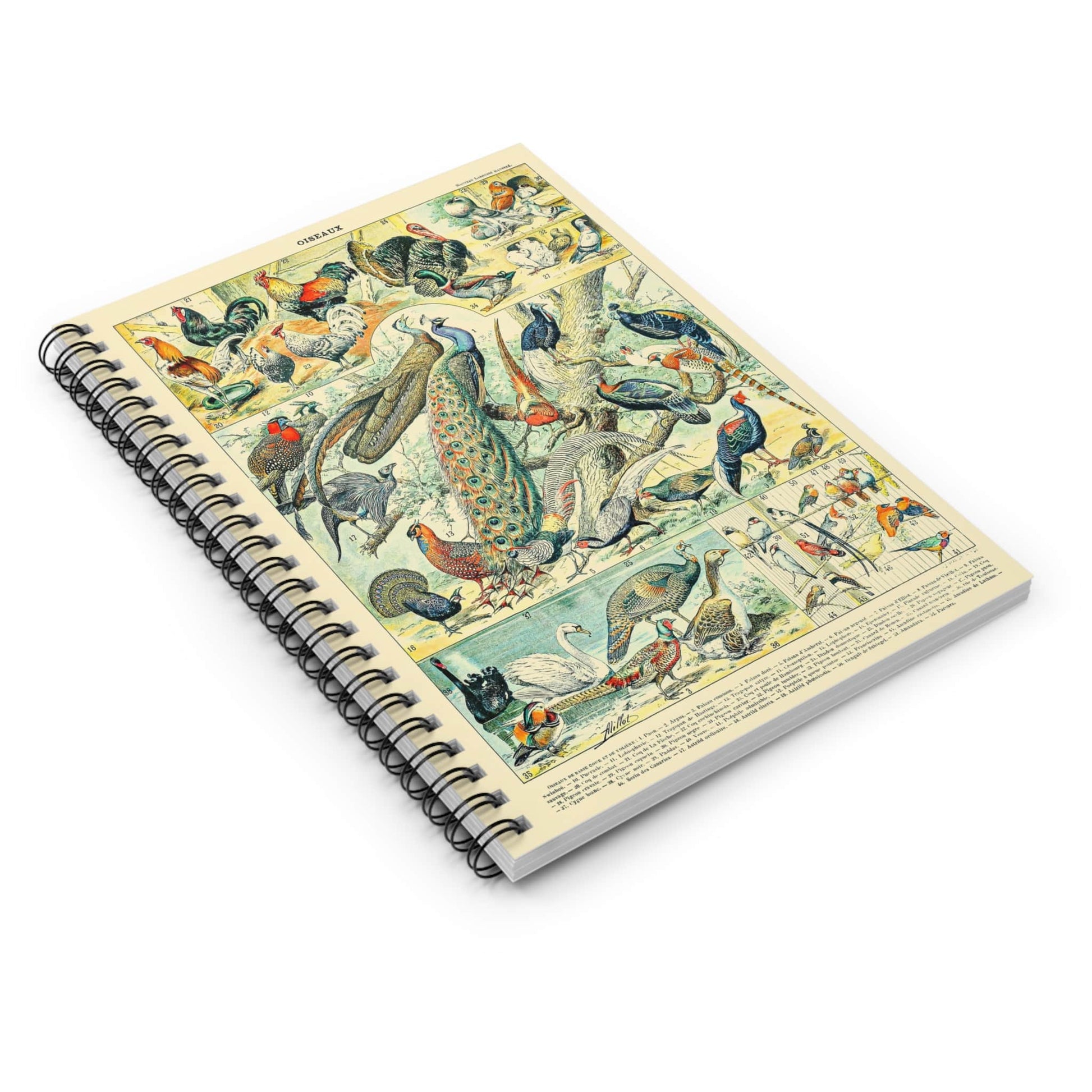 Collection of Birds Spiral Notebook Laying Flat on White Surface