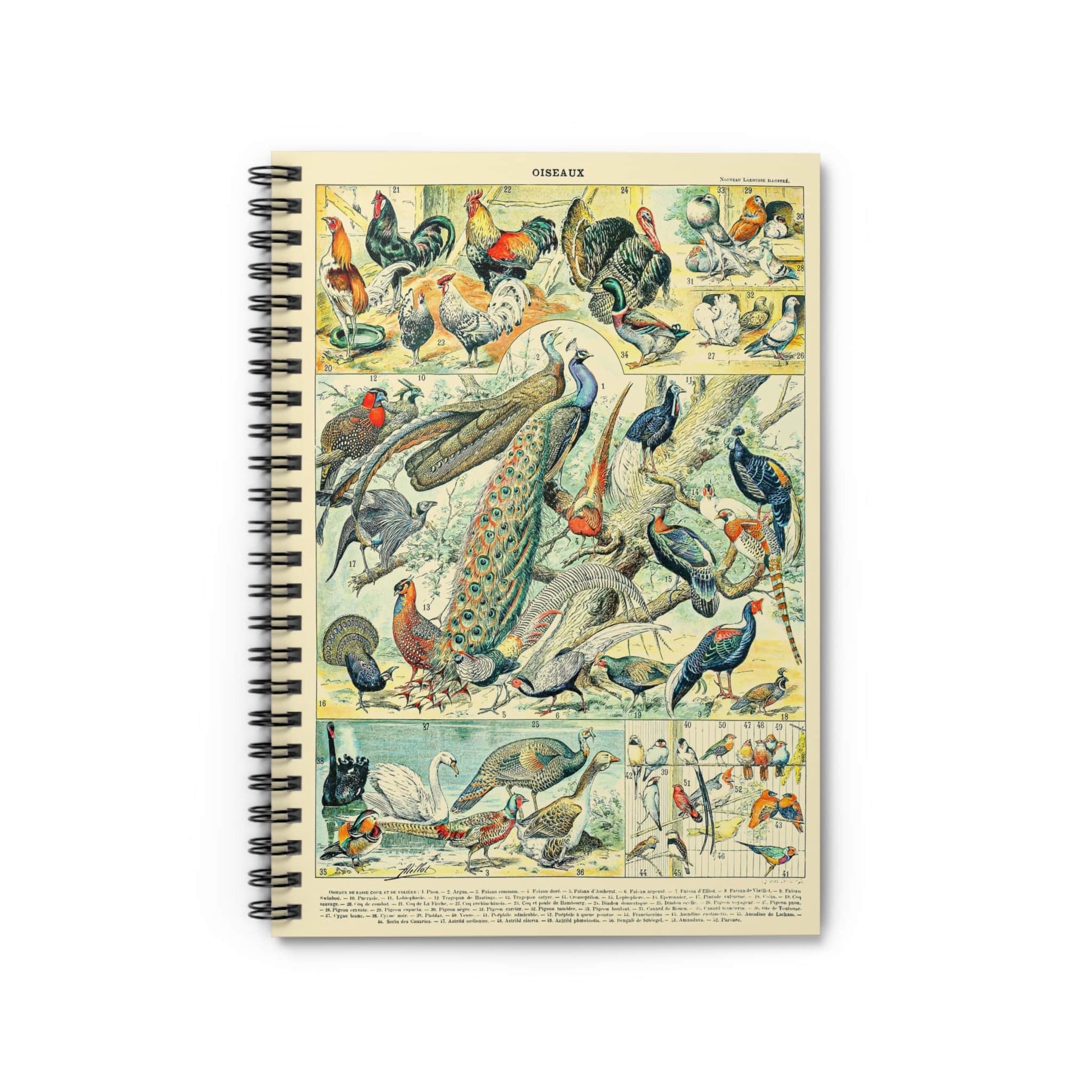 Collection of Birds Notebook with Wild Birds Chart cover, great for journaling and planning, featuring comprehensive wild birds charts.