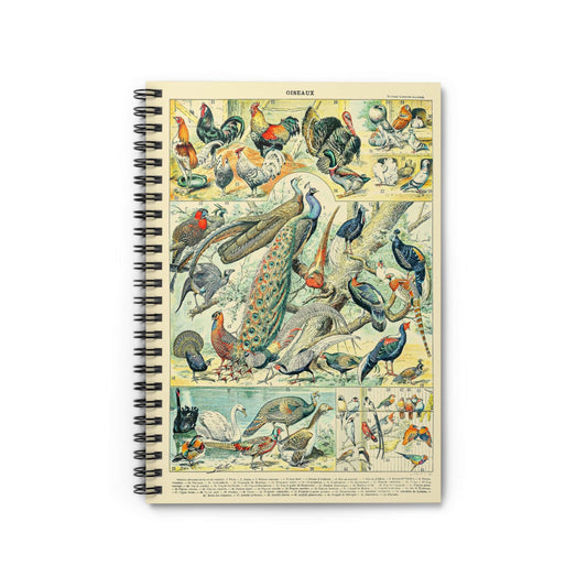 Collection of Birds Notebook with Wild Birds Chart cover, great for journaling and planning, featuring comprehensive wild birds charts.