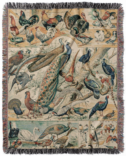 Collection of Birds woven throw blanket, crafted from 100% cotton, offering a soft and cozy texture with a wild birds chart for home decor.