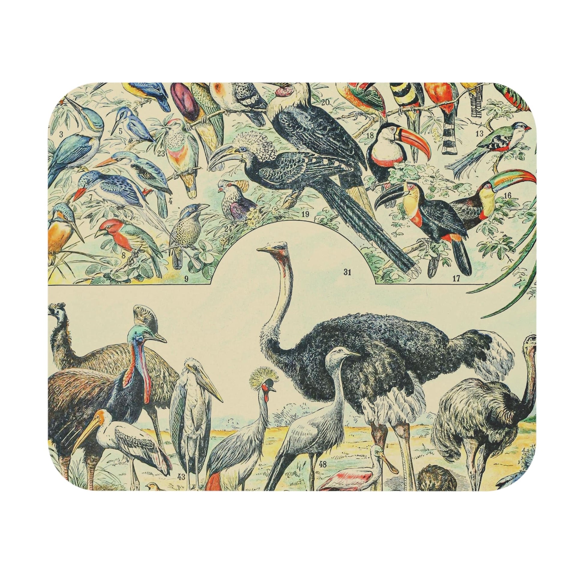 Collection of Birds Mouse Pad featuring an exotic bird chart design, complementing desk and office decor.