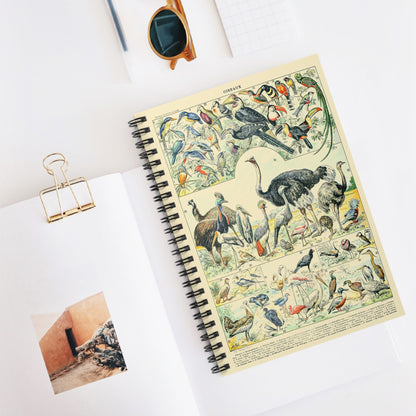 Collection of Birds Spiral Notebook Displayed on Desk