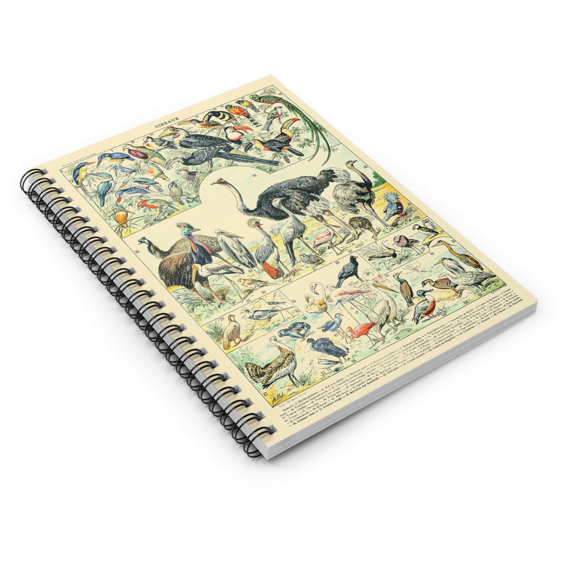 Collection of Birds Spiral Notebook Laying Flat on White Surface