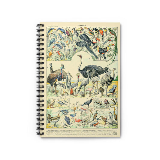 Collection of Birds Notebook with Exotic Bird Chart cover, ideal for journaling and planning, showcasing exotic bird illustrations.