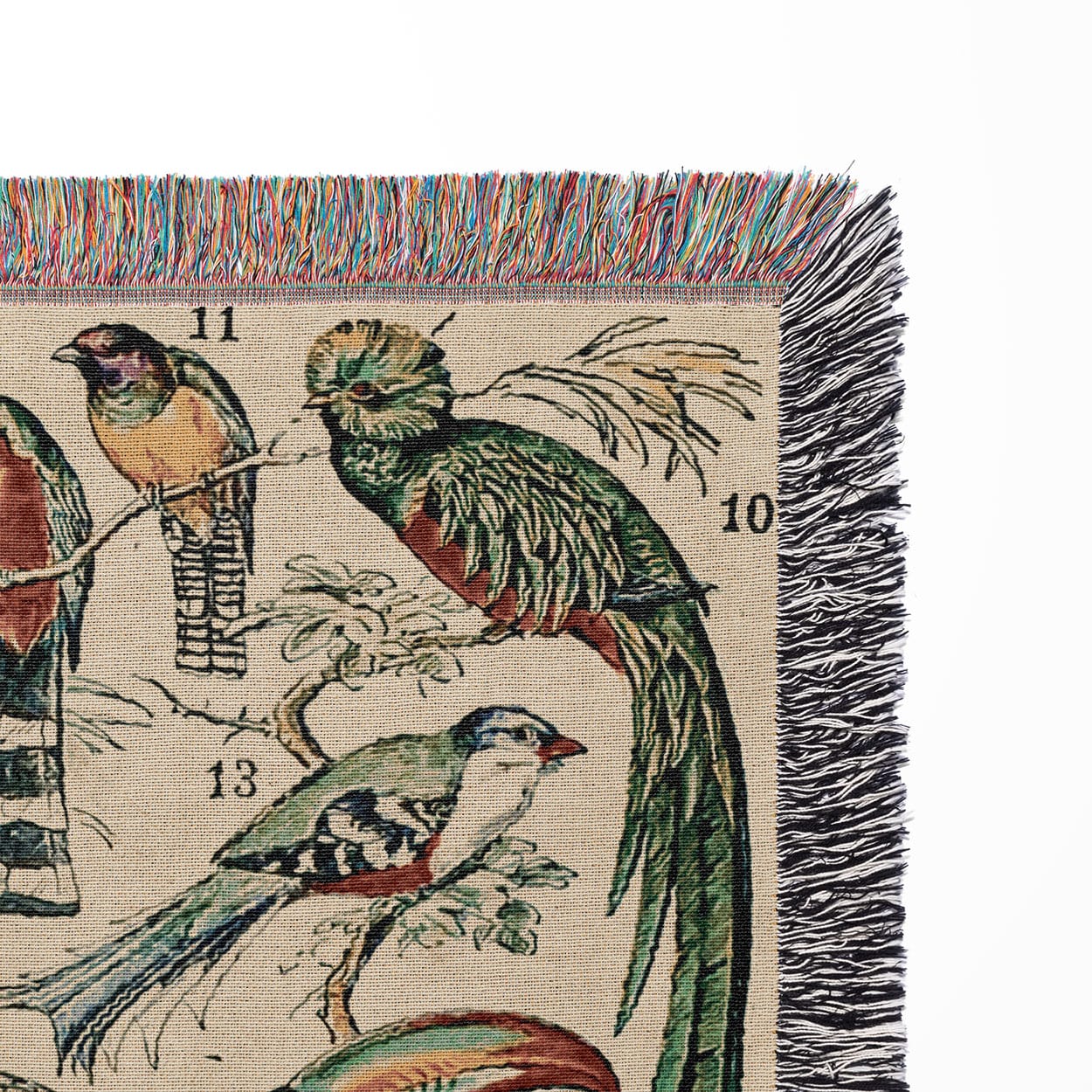 Collection of Birds Woven Blanket Close Up