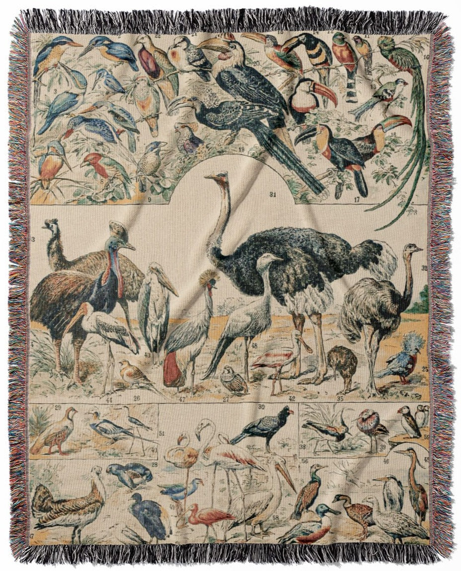 Collection of Birds woven throw blanket, made of 100% cotton, featuring a soft and cozy texture with an exotic bird chart for home decor.