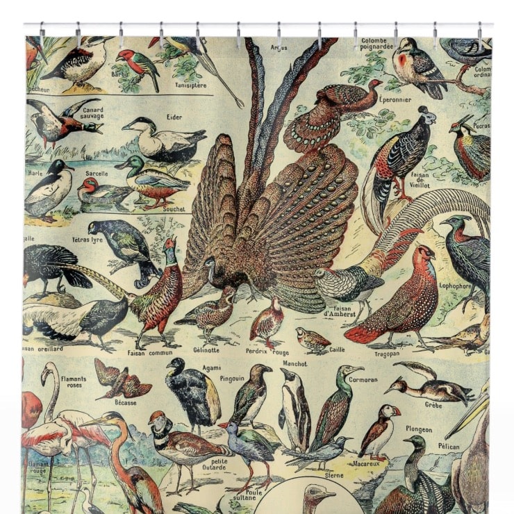 Collection of Birds Shower Curtain Close Up, Science Shower Curtains