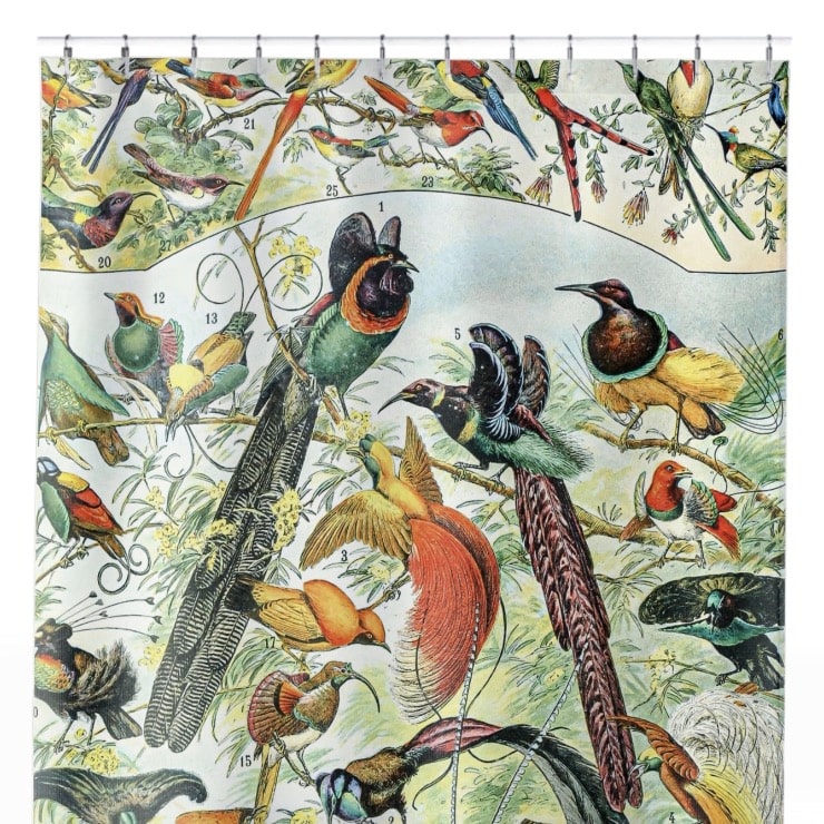 Collection of Birds Shower Curtain Close Up, Science Shower Curtains