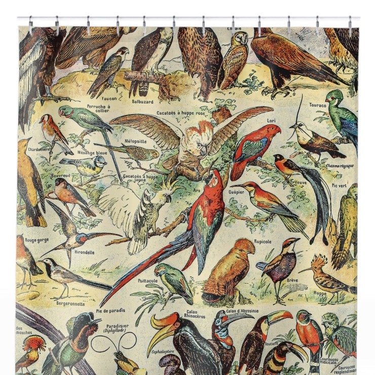 Collection of Birds Shower Curtain Close Up, Science Shower Curtains