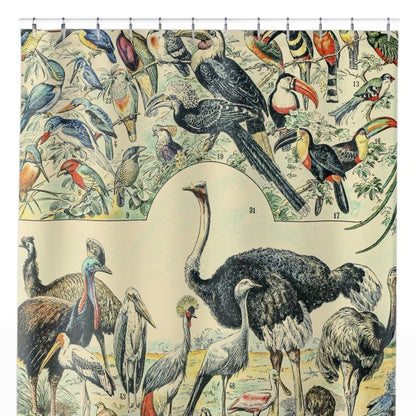 Collection of Birds Shower Curtain Close Up, Science Shower Curtains