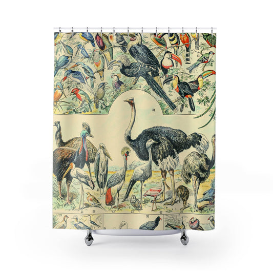 Collection of Birds Shower Curtain with exotic bird chart design, vibrant bathroom decor featuring diverse bird illustrations.