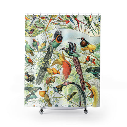 Collection of Birds Shower Curtain with tropical bird chart design, colorful bathroom decor featuring exotic bird patterns.