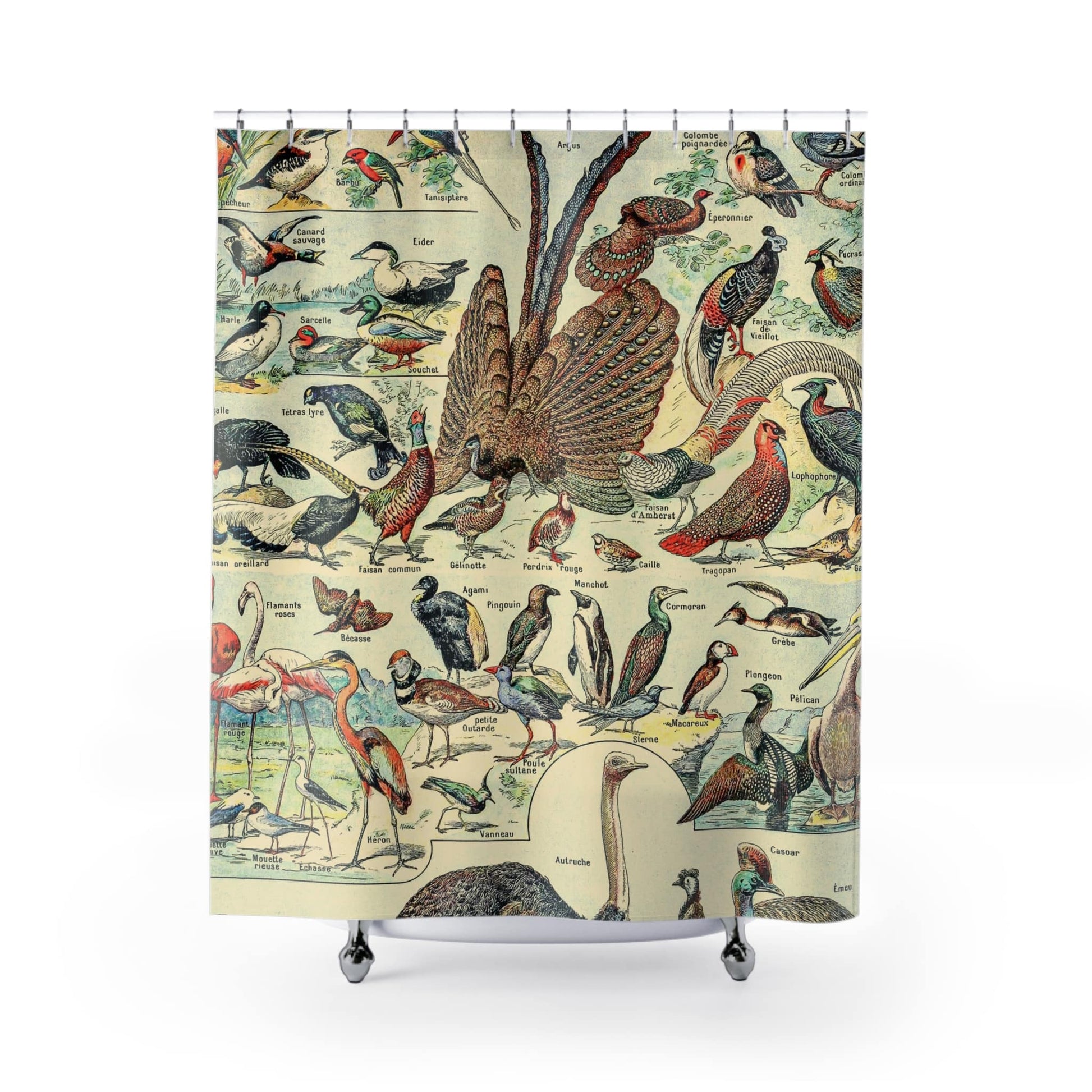 Collection of Birds Shower Curtain with wild bird chart design, educational bathroom decor showcasing various bird species.