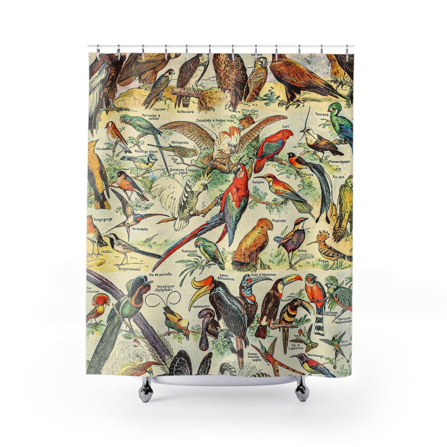 Collection of Birds Shower Curtain with wild birds diagram design, detailed bathroom decor showcasing bird species charts.