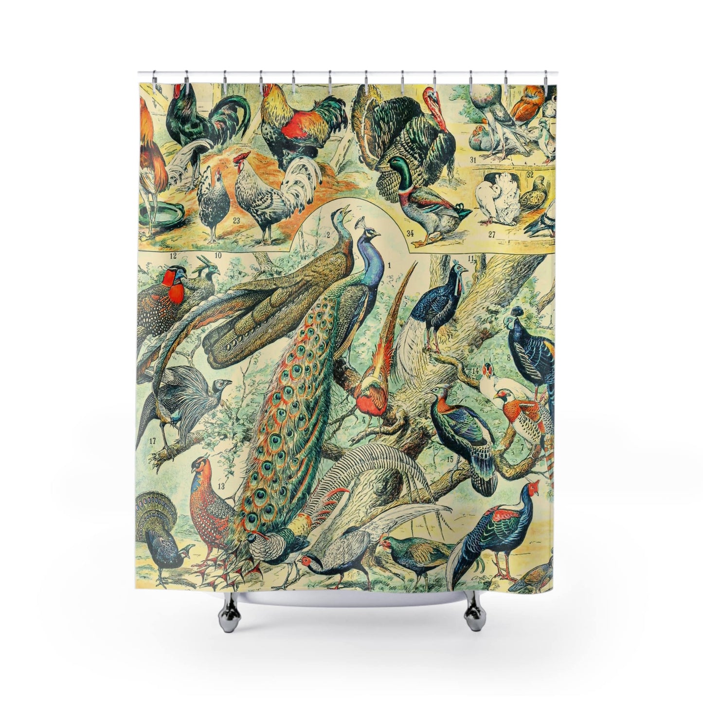 Collection of Birds Shower Curtain with wild birds chart design, nature-inspired bathroom decor showcasing different bird species.