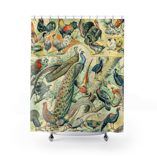 Collection of Birds Shower Curtain with wild birds chart design, nature-inspired bathroom decor showcasing different bird species.