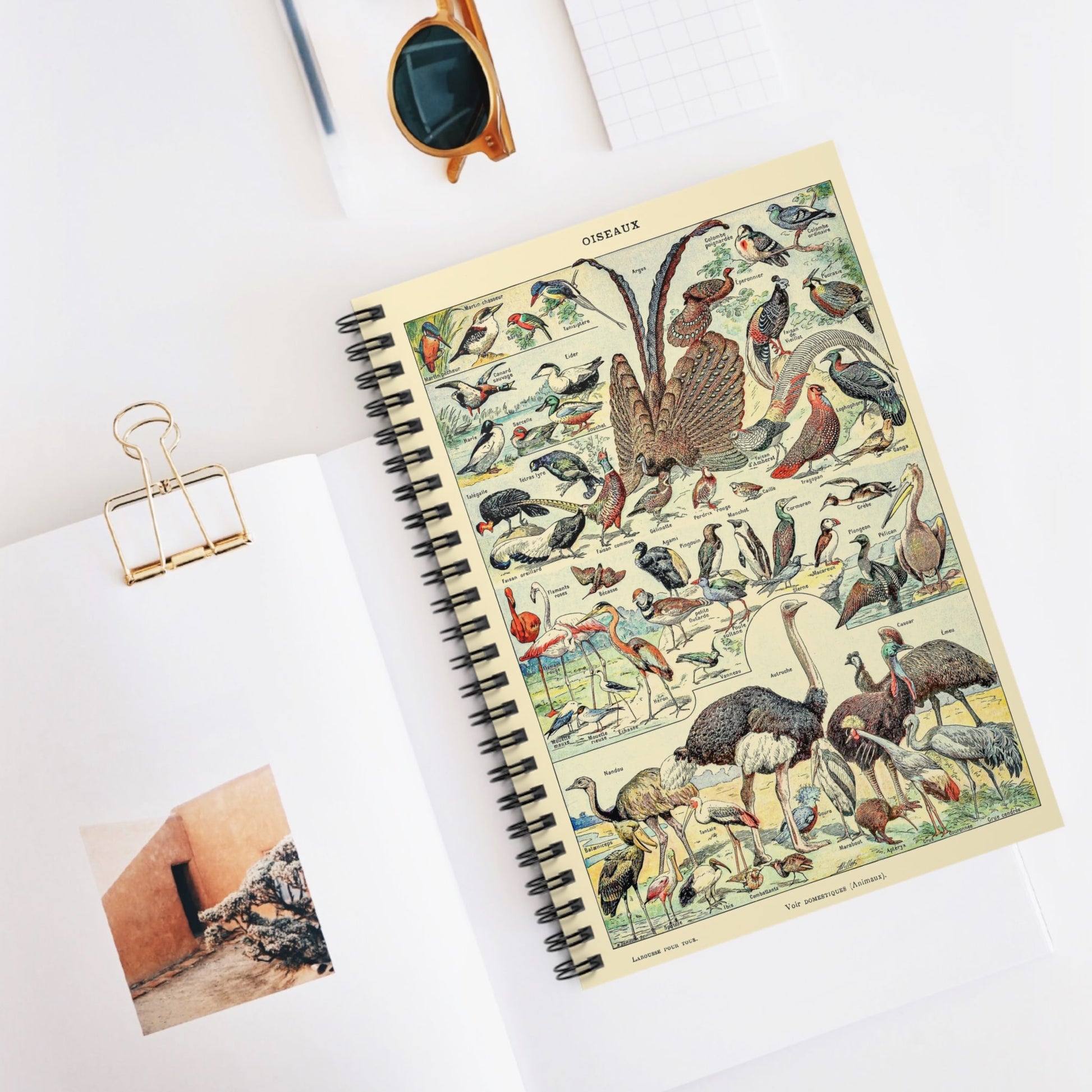 Collection of Birds Spiral Notebook Displayed on Desk