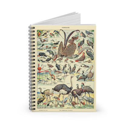 Collection of Birds Spiral Notebook Standing up on White Desk