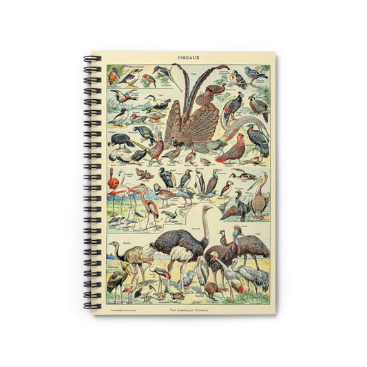 Collection of Birds Notebook with Wild Bird Chart cover, perfect for journaling and planning, featuring detailed wild bird charts.