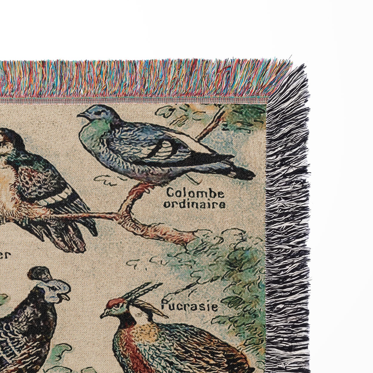 Collection of Birds Woven Blanket Close Up