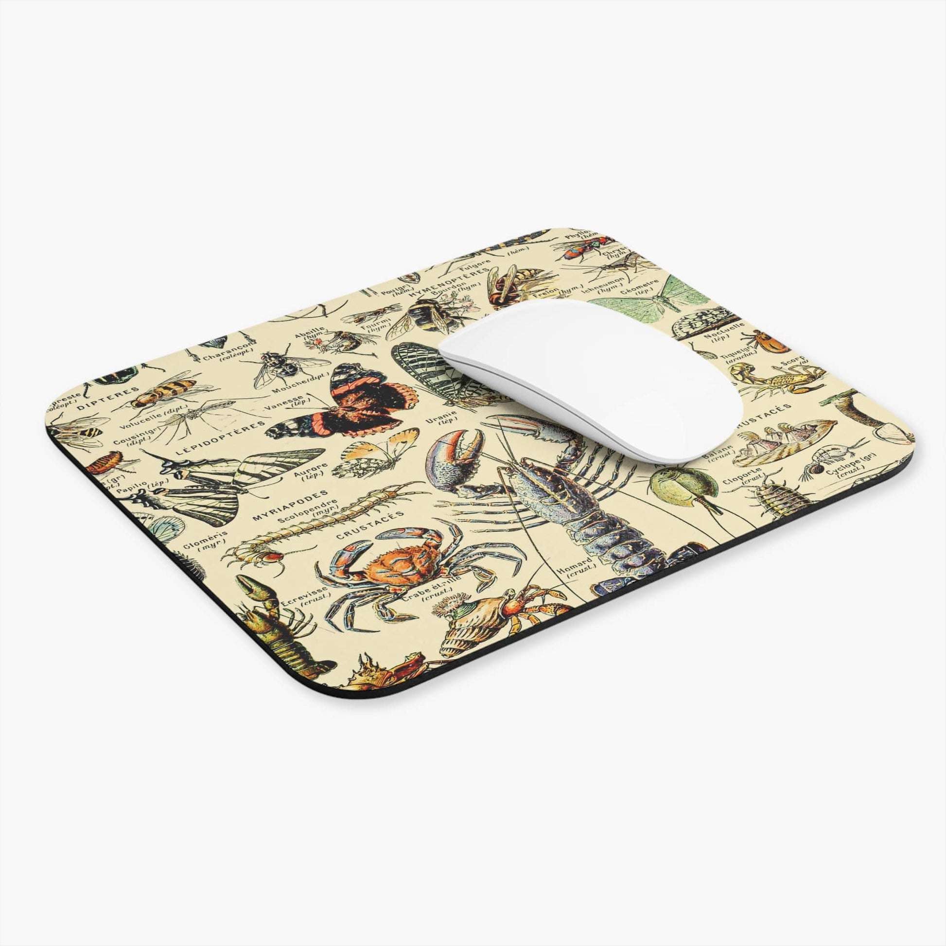 Cool Insect Computer Desk Mouse Pad With White Mouse