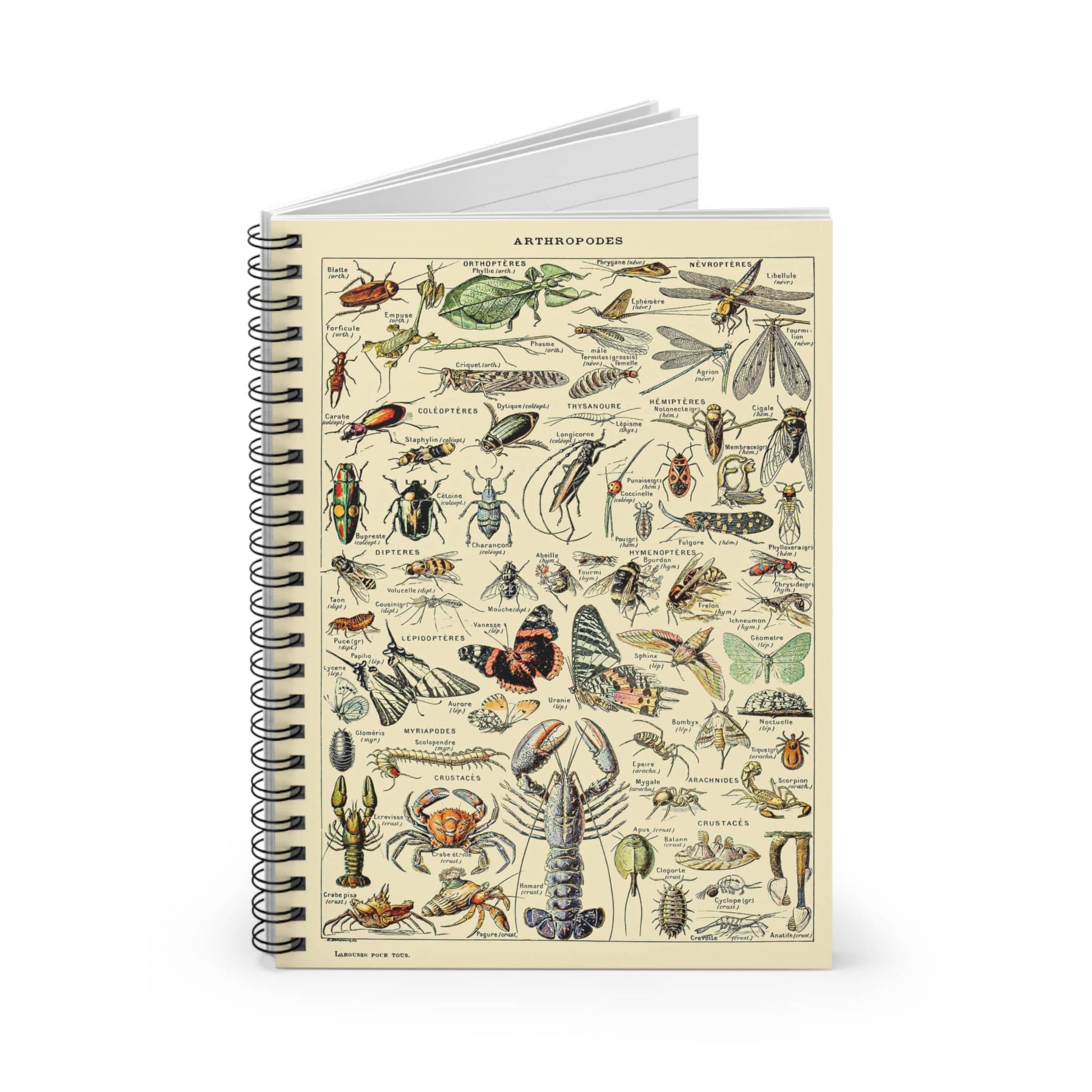 Cool Insect Spiral Notebook Standing up on White Desk