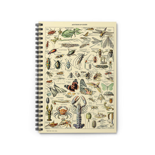 Cool Insects Notebook with Butterfly and Bugs cover, ideal for journaling and planning, showcasing cool butterfly and bug illustrations.